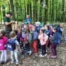 Včeličky a jejich lesní pedagogické dopoledne na sv. Kopečku