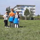 Včeličky a Motýlci v kukuřičném bludišti