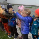 Draví ptáci na zahradě mš