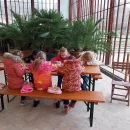 Vánoční program pro děti na zámku Čechy pod Kosířem - Včeličky