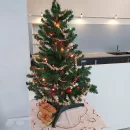 Vánoční program pro děti na zámku Čechy pod Kosířem - Včeličky