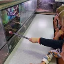 Návštěva dětí v minizoo UP - včeličky