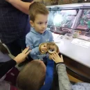 Návštěva dětí v minizoo UP - včeličky