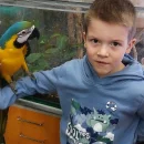 Návštěva dětí v minizoo UP - včeličky