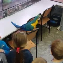 Návštěva dětí v minizoo UP - včeličky