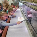 Návštěva dětí v minizoo UP - včeličky