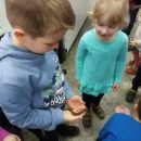Návštěva dětí v minizoo UP - včeličky