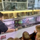 Návštěva dětí v minizoo UP - včeličky