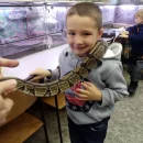 Návštěva dětí v minizoo UP - Motýlci