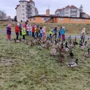 Motýlci krmí kačenky