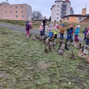 Motýlci krmí kačenky