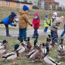 Motýlci krmí kačenky