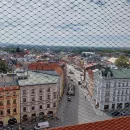 Včeličky na prohlídce Olomouce s kočičkou Olou