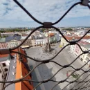 Včeličky na prohlídce Olomouce s kočičkou Olou