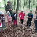 Lesní pedagogika na sv. Kopečku