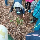 Lesní pedagogika na sv. Kopečku
