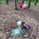 Lesní pedagogika na sv. Kopečku