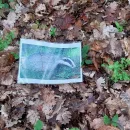 Lesní pedagogika na sv. Kopečku
