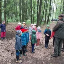 Lesní pedagogika na sv. Kopečku
