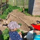 Včeličky - záchranná stanice Páteřín a krmení zvířátek v oboře