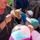 Včeličky - záchranná stanice Páteřín a krmení zvířátek v oboře