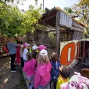 Včeličky - záchranná stanice Páteřín a krmení zvířátek v oboře