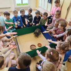 Naučný program Na farmě