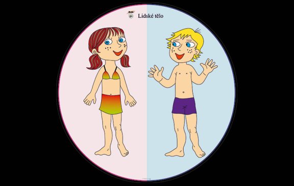 POMPOLOMPO- PIMPILIMPI