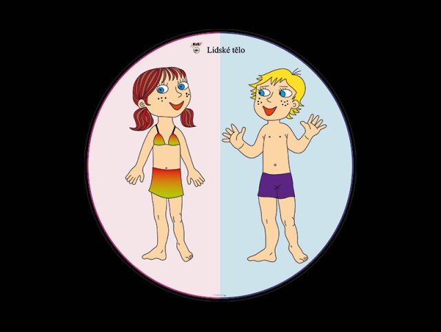 POMPOLOMPO- PIMPILIMPI