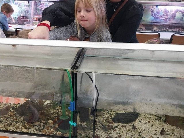 Návštěva dětí v minizoo UP - včeličky