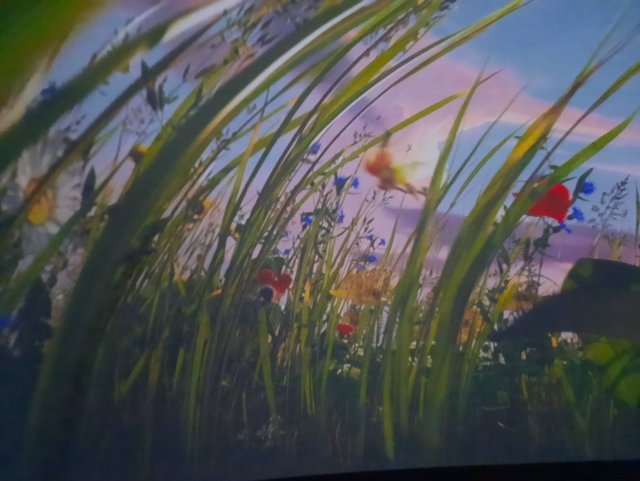 Včeličky a Berušky navštívily sférické kino v ZŠ
